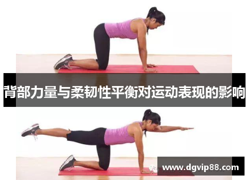 背部力量与柔韧性平衡对运动表现的影响